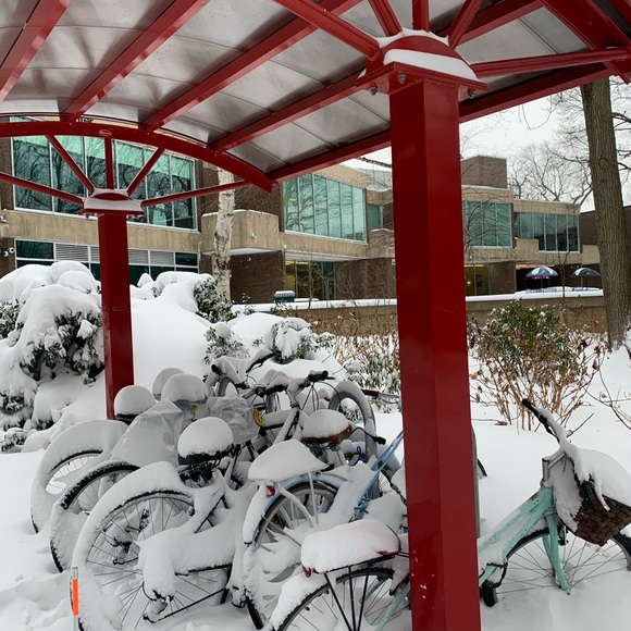 Meet your Posher, Z - Picture 2 of 5